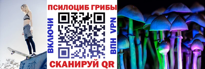 Галлюциногенные грибы Cubensis  Купить где  Дедовск 